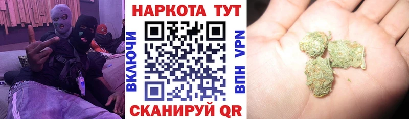  COCAIN Тайга