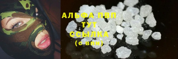 ECSTASY Верея