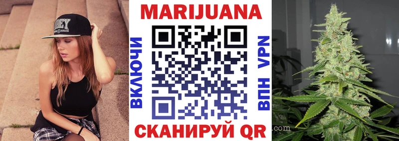 Купить где  Тайга  Конопля сатива 